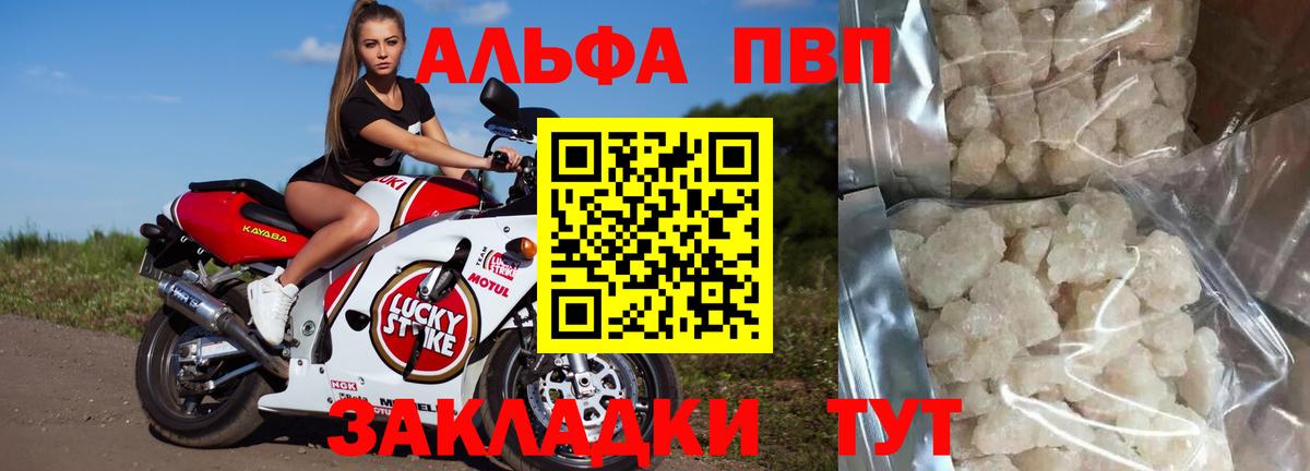 А ПВП СК Ставрополь
