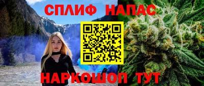 МДПВ Заводоуковск