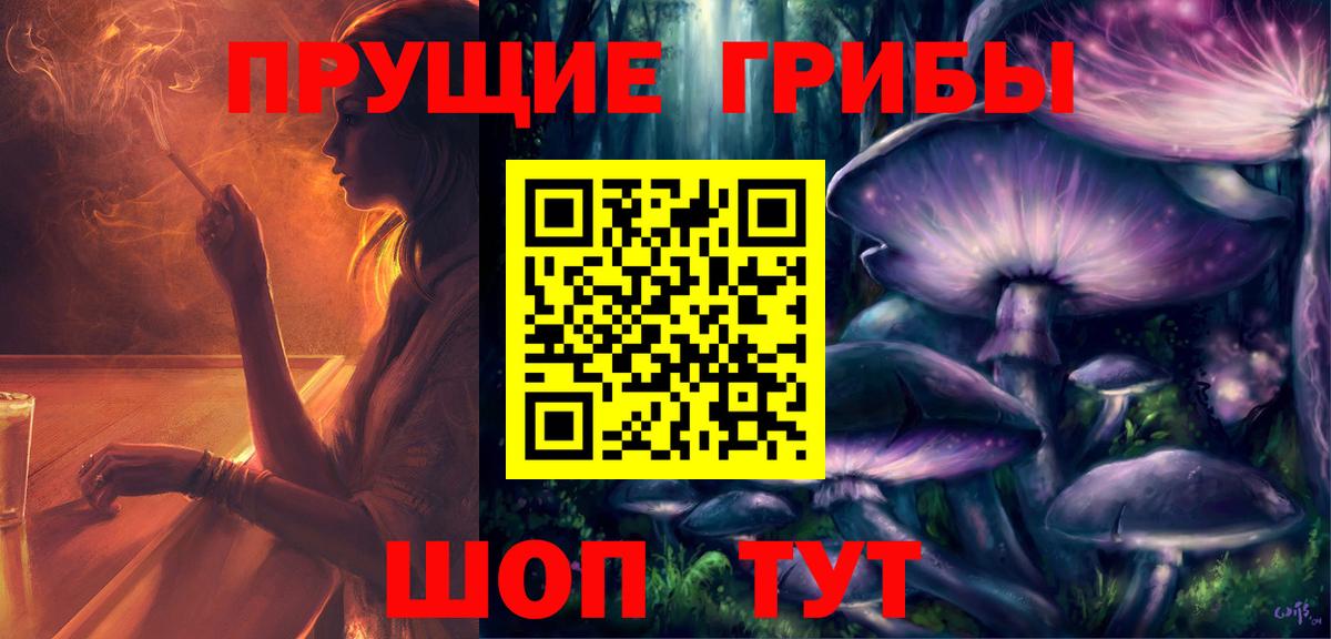 Галлюциногенные грибы Psilocybe Ставрополь